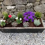 Stone Casa vacanze