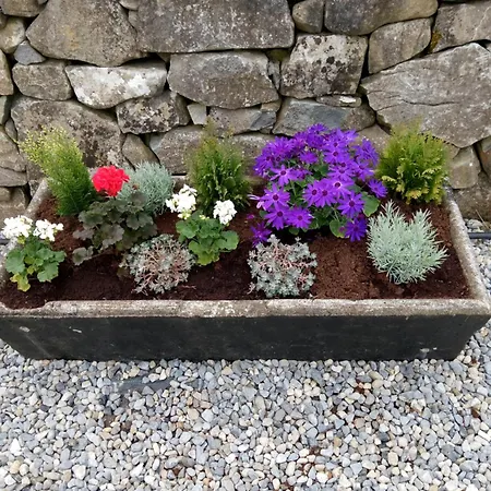 Stone Holiday home
