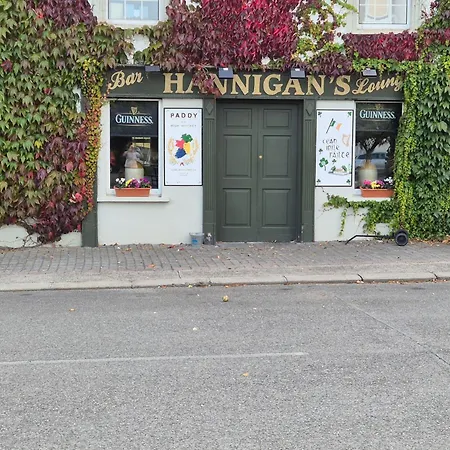 Stone Ferienhaus Carney (Tipperary)