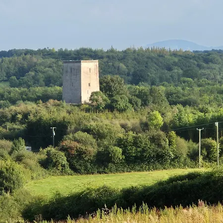 Stone Carney (Tipperary)