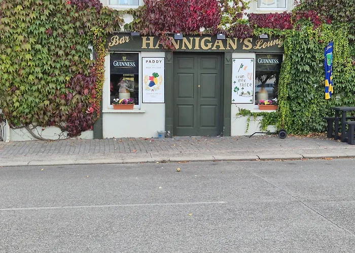 Stone Ferienhaus Carney (Tipperary)
